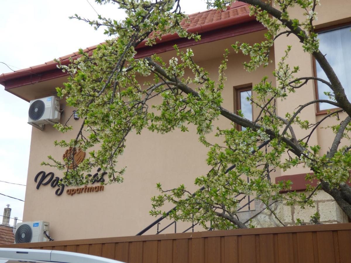 Pogacsas Apartman Apartment Tokaj Exterior photo